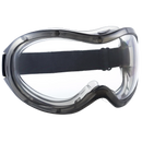 Globus Benchmark Clear Anti-fog Goggle