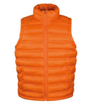 Ice Bird Padded Gilet